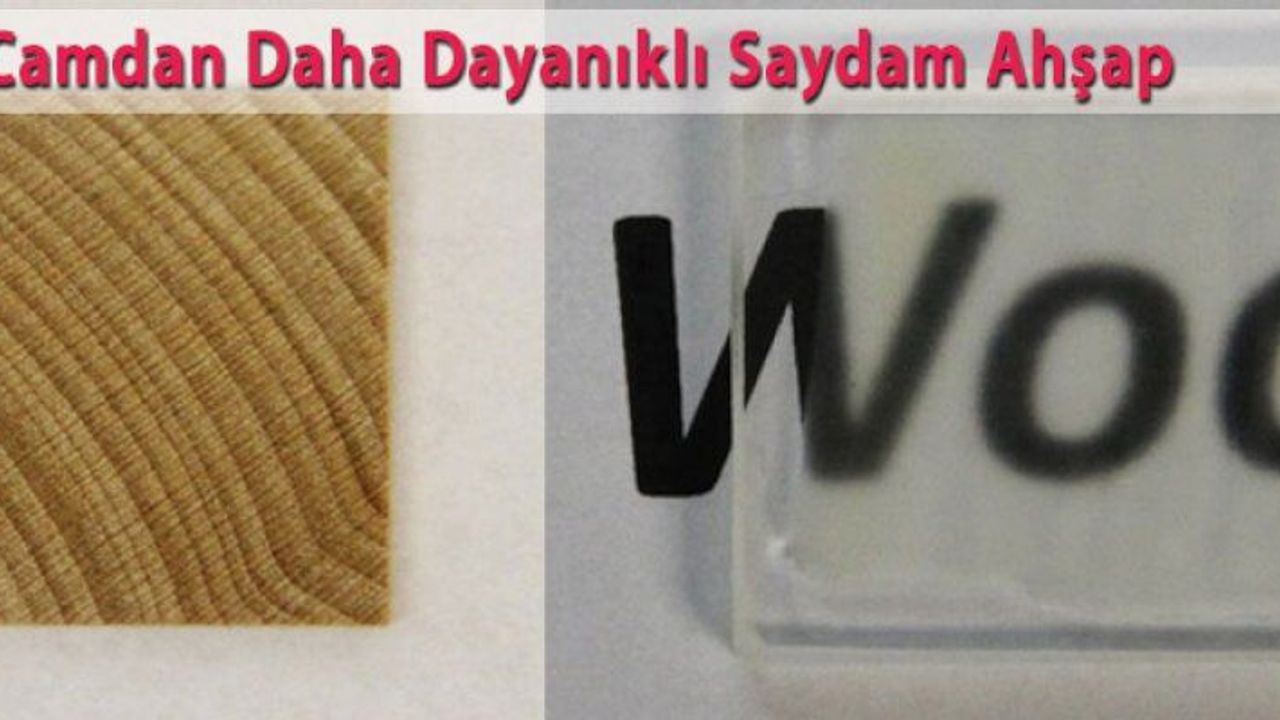 Camdan Daha Dayanıklı Saydam Ahşap Geliştirildi