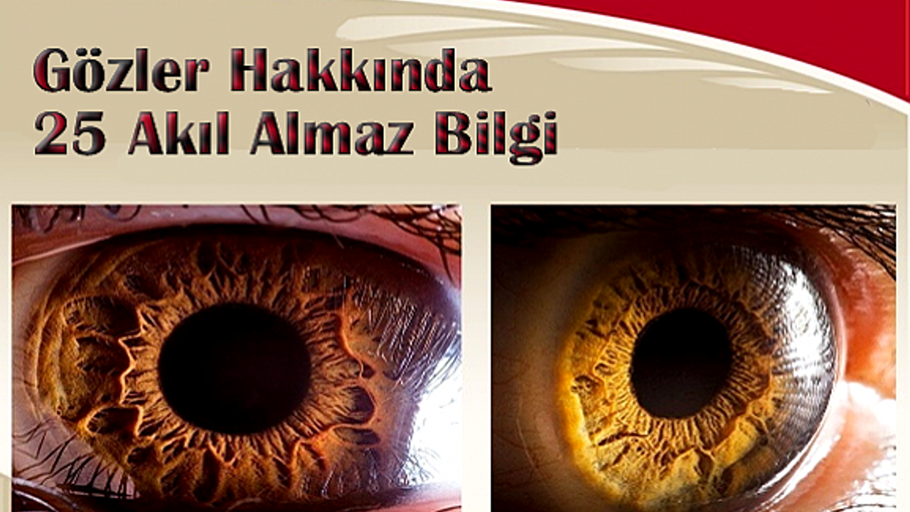 Gözleriniz Hakkında İnanmakta Güçlük Çekeceğiniz 25 Akıl Almaz Bilgiler