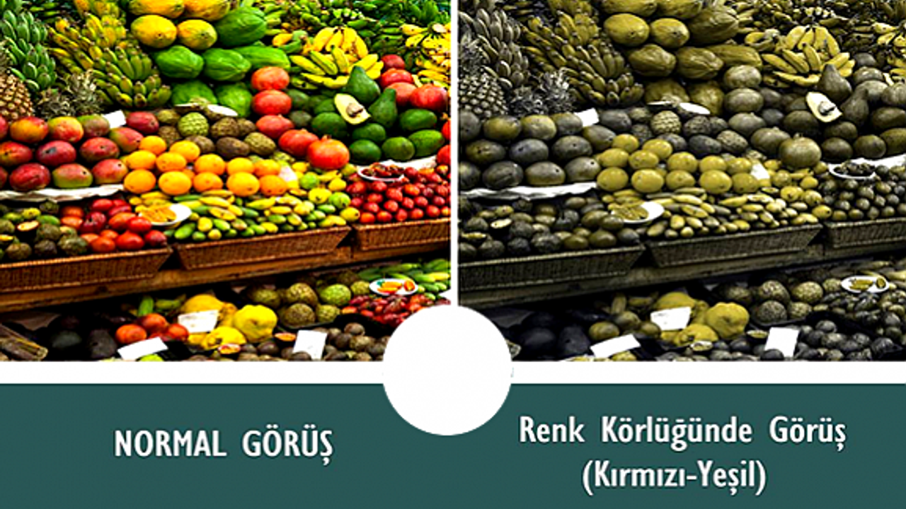Renk Körü İnsanlar Dünyayı Nasıl Görüyorlar?