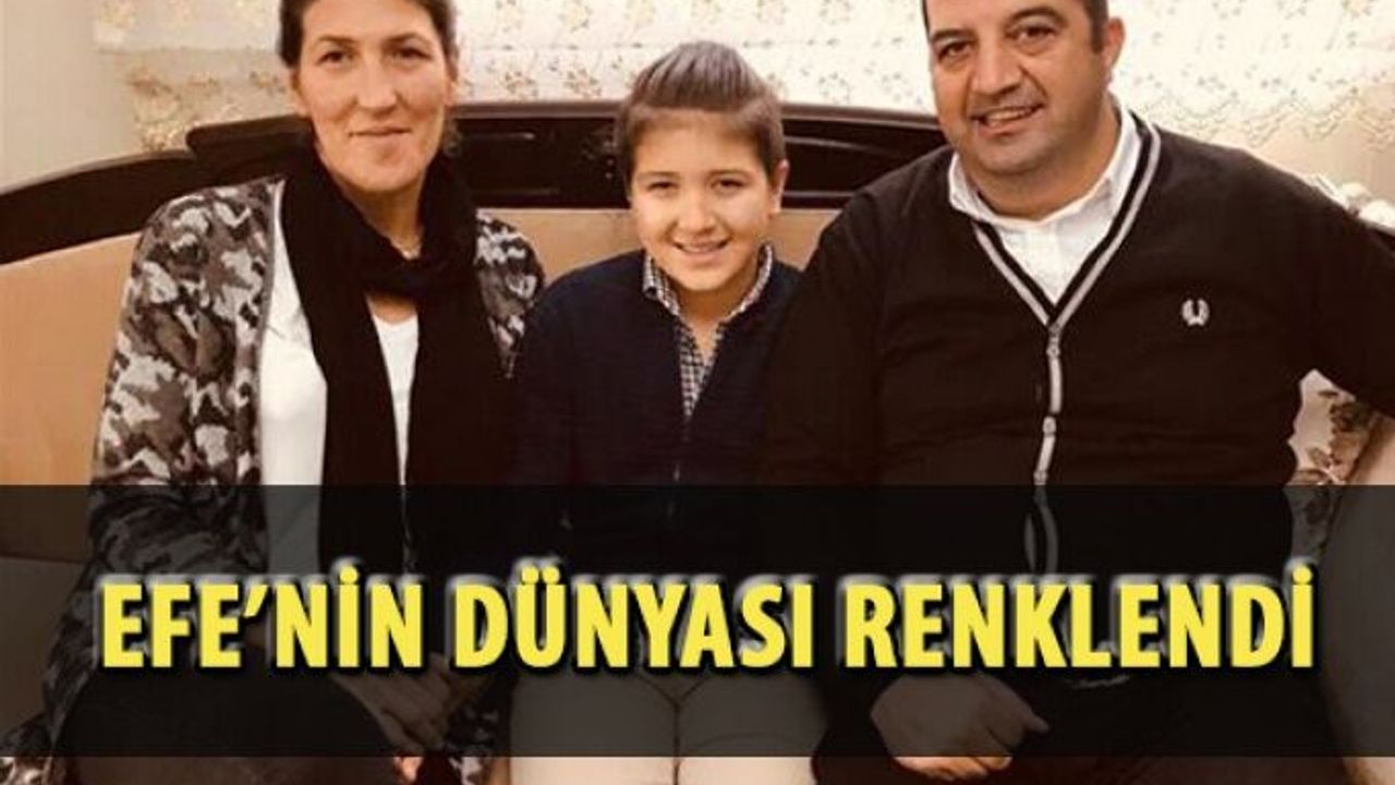 Efe'nin Dünyası Renklendi