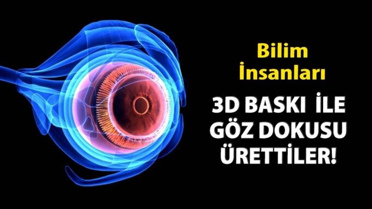 Bilim İnsanları, 3D Baskı Ve Kök Hücreler Kullanarak Göz Dokusu Üretiyorlar.