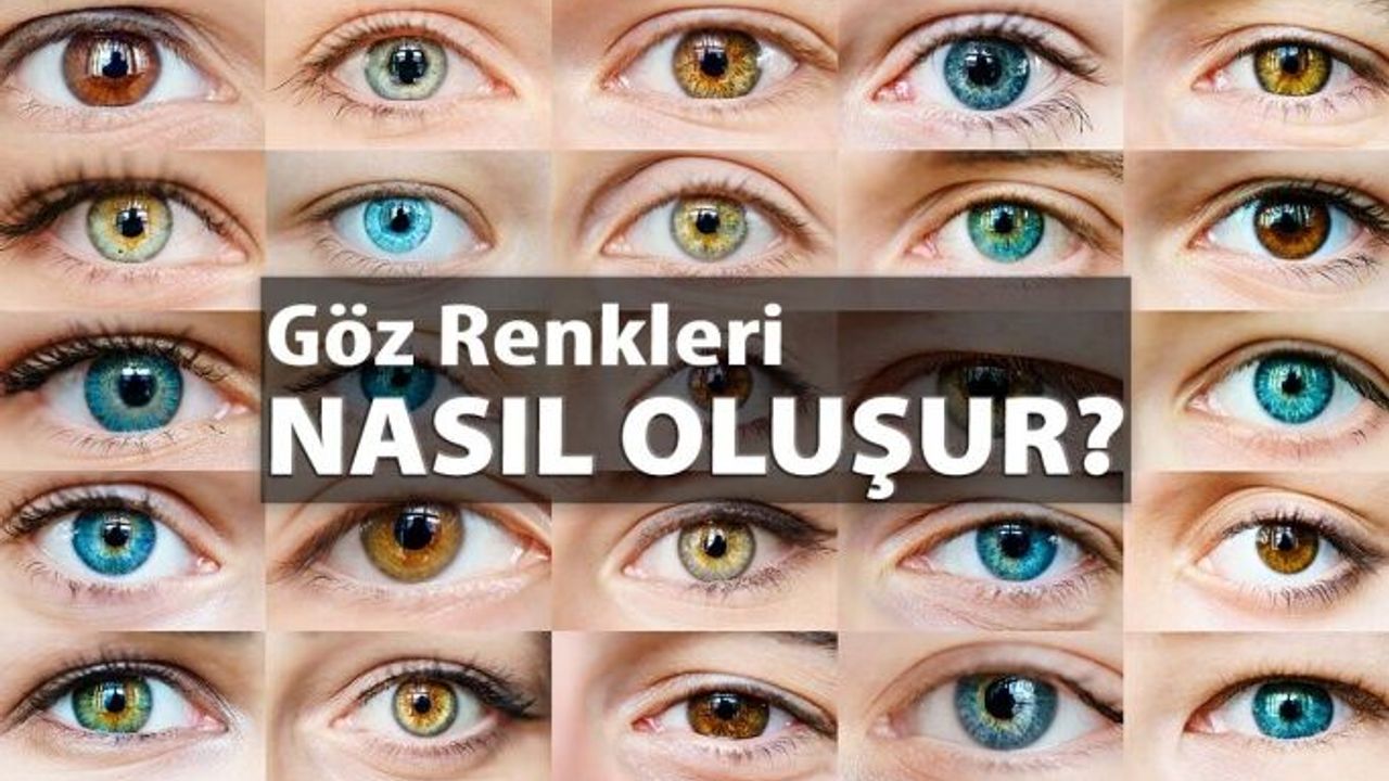 Göz Renkleri Nasıl Oluşur?