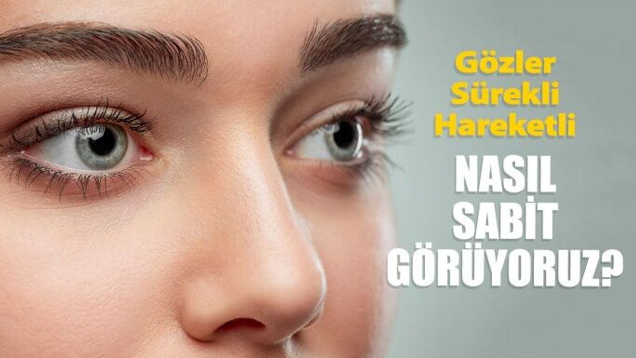 Dünyayı Nasıl Sabit Olarak Görüyoruz?