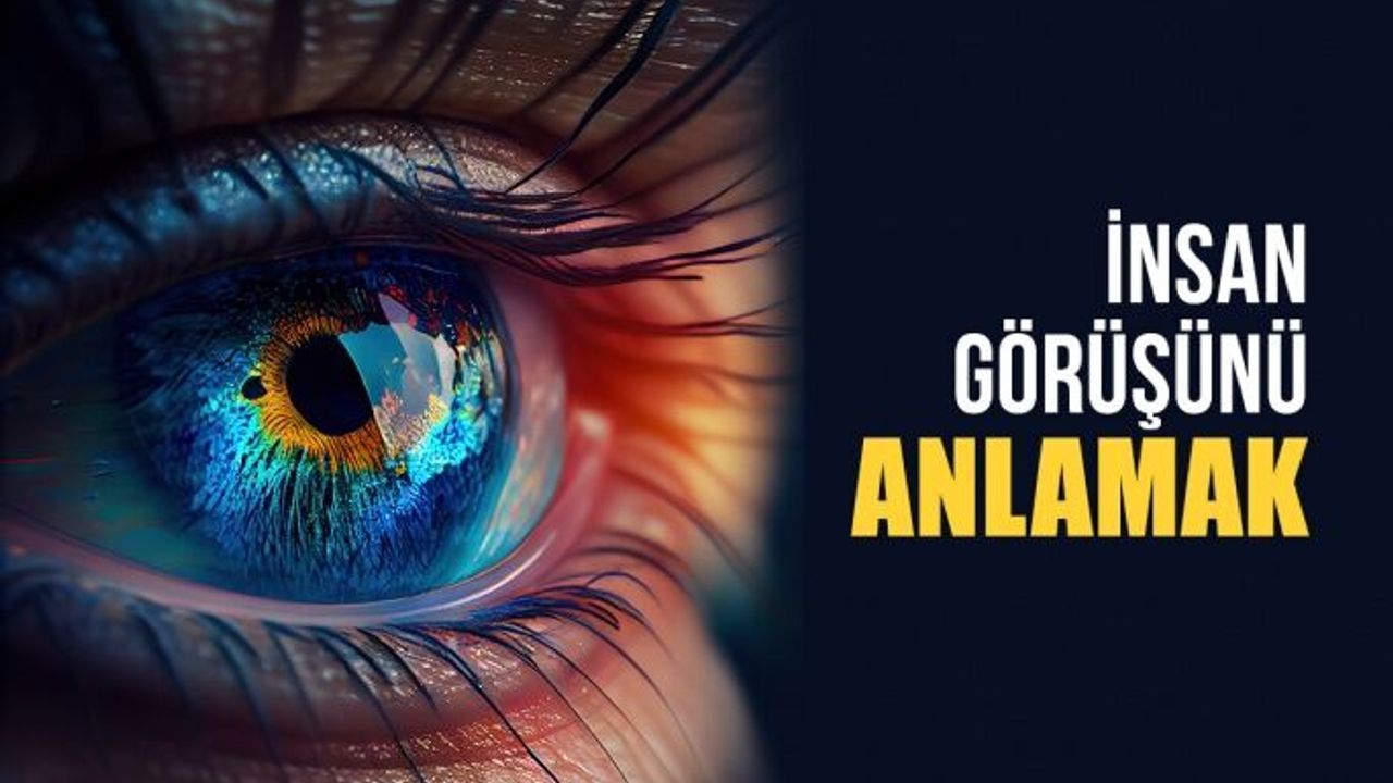 Nasıl Görüyoruz, İnsan Görüşünü Anlamak