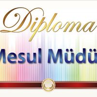 mesul müdür aranıyor