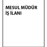Mesul müdür  iş ilanı