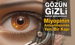 Gözün Gizli Karar Mekanizması Ortaya Çıktı