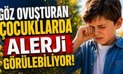 Göz Ovuşturan Çocuklarda Alerji Görülebiliyor