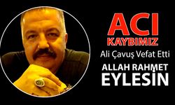 Ali Çavuş Vefat Etti, Sektörün Acı Kaybı