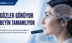 Gördüğümüz Dünyayı Beyin Tamamlıyor