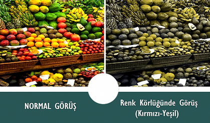 Renk Körü İnsanlar Dünyayı Nasıl Görüyorlar?