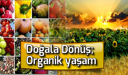 Doğala Dönüş; Organik yaşam