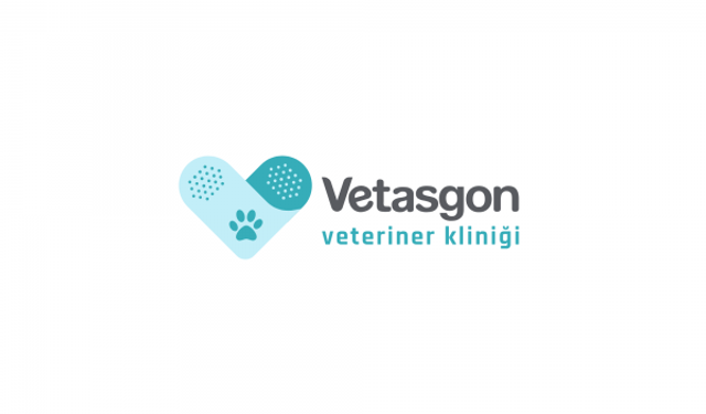 Vetasgon Kartal Veteriner Kliniği