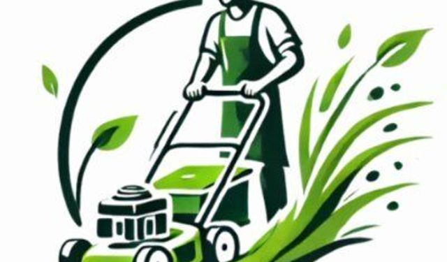 Çim Pazarı – Hazır Rulo Çim ve Peyzaj