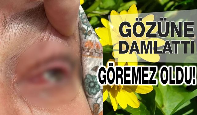 Kırlangıç Otu Kör Ediyordu! Göremez Hale Getirdi