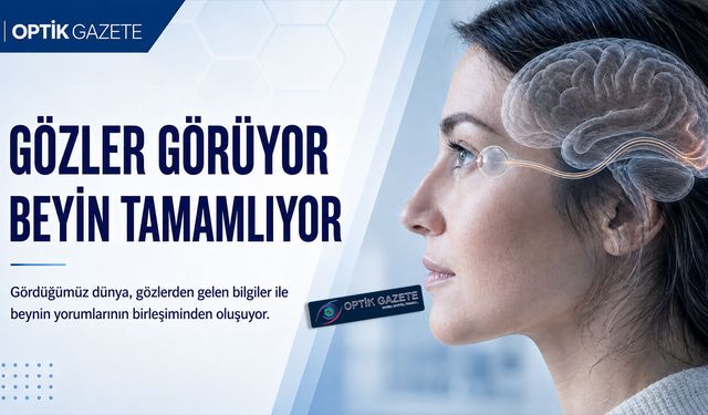 Gördüğümüz Dünyayı Beyin Tamamlıyor