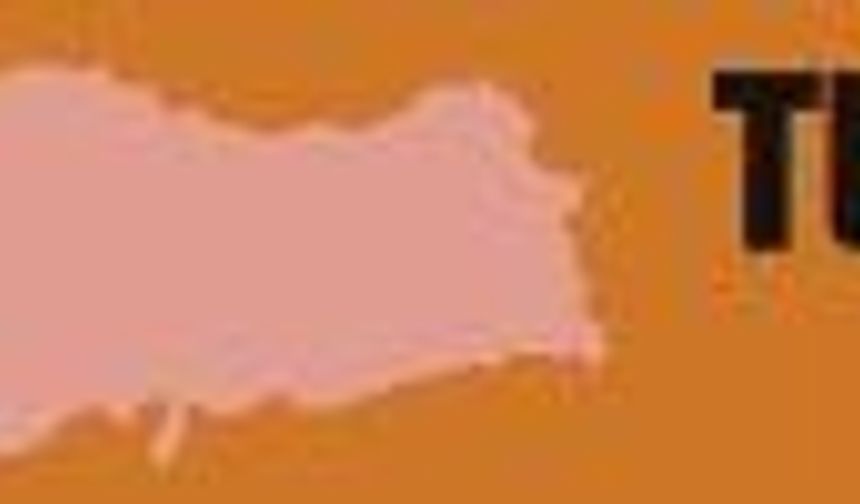 Evden Eve Nakliyat Firmları