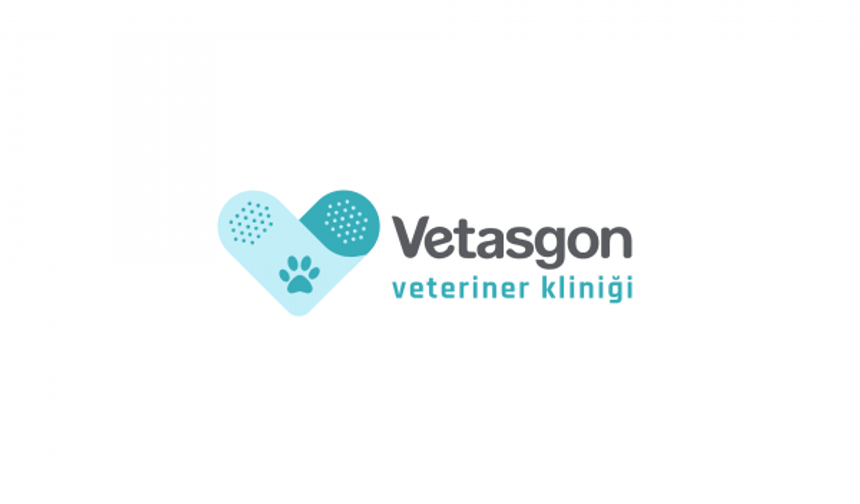Vetasgon Kartal Veteriner Kliniği