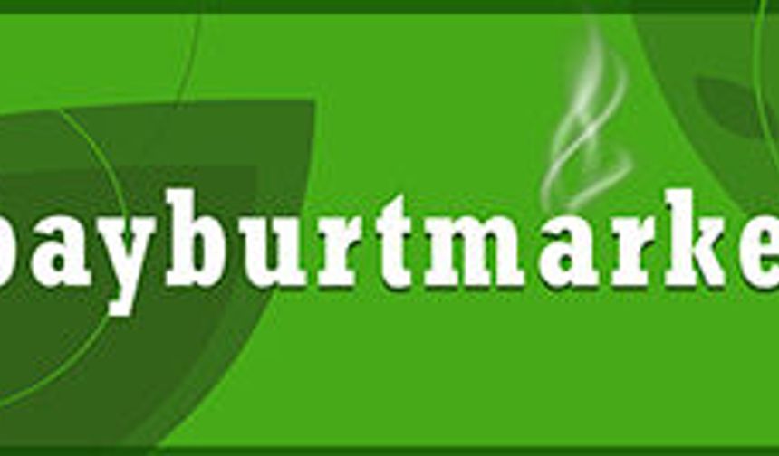 BAYBURRT market