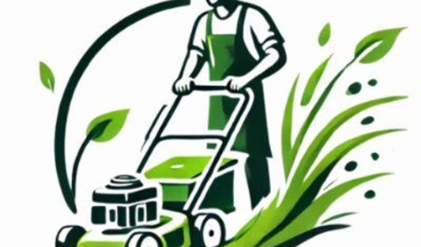 Çim Pazarı – Hazır Rulo Çim ve Peyzaj