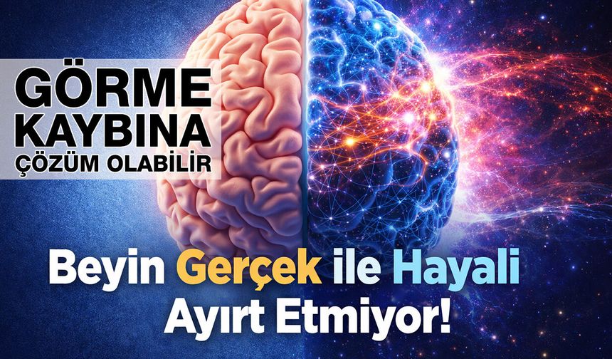 Görme Kaybına Çözüm Olabilecek Araştırma